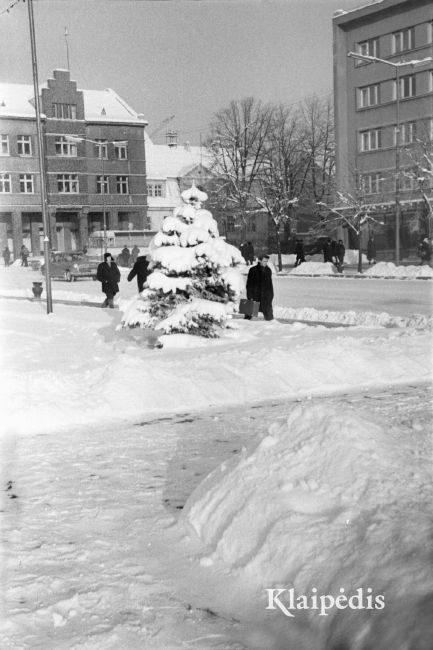 pavadinimas: 1970 žiema tuometinėje Tarybų aikštėje, raktai:  